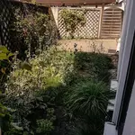 20180826_122333_vorher