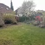 photo_2020-05-09_21-30-09-(1)_vorher_kl