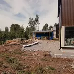 ATELIER-Gartenblick-Stimmungsvoller-Naturgarten