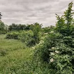 Atelier-Gartenblick-Verwunschener Märchengarten