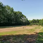 Atelier-Gartenblick-Verwunschener Märchengarten