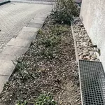 ATELIER-Gartenblick-Verspieltes-Pflanzenbeet-am-Eingang