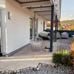 ATELIER-Gartenblick-Einfamilienhausgarten in organischen Formen