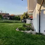 ATELIER-Gartenblick-Einfamilienhausgarten in organischen Formen