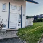 ATELIER-Gartenblick-Einfamilienhausgarten in organischen Formen