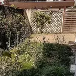 20180826_122333_vorher_kl