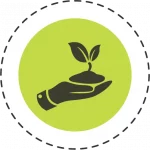 Gartenplanung-Element 5