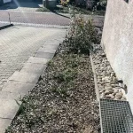 photo_2020-03-15_09-48-52-kl2